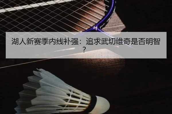 湖人新赛季内线补强:追求武切维奇是否明智?